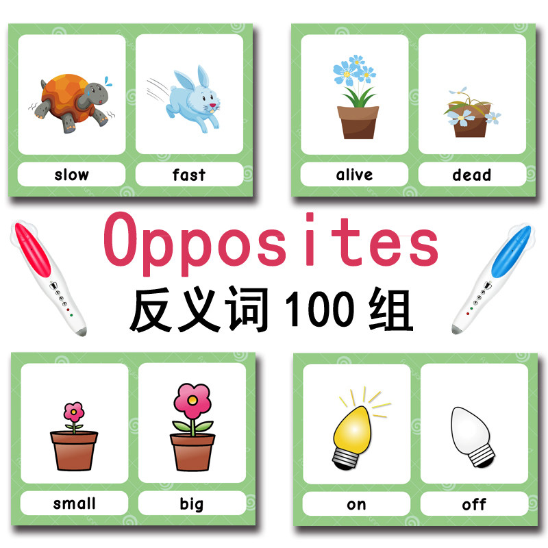 The 100 Groups Opposites Flash - Kids Education And You recension och pris