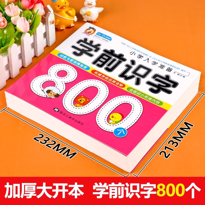 Preschool Literacy: 800 Chines - Kids Education And You recension och pris