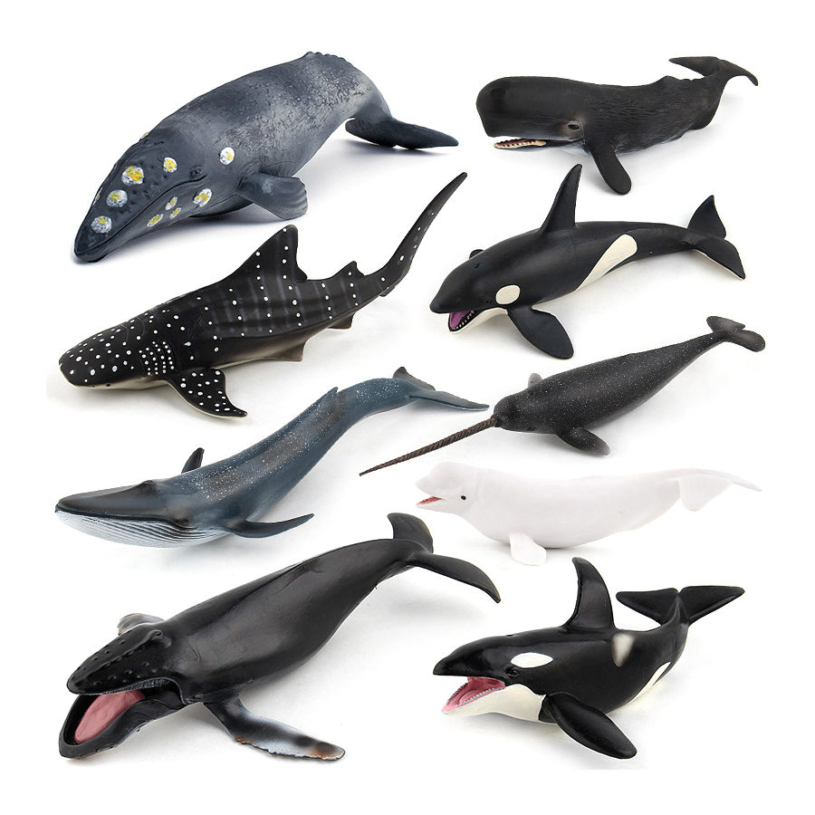 Realistic Humpback Whale Sperm - Kids No Education recension och pris