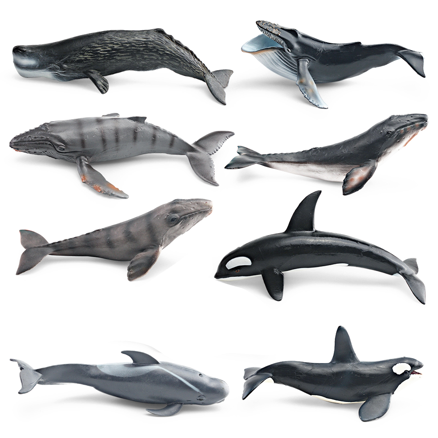 Realistic Humpback Whale Sperm - Kids No Education recension och pris