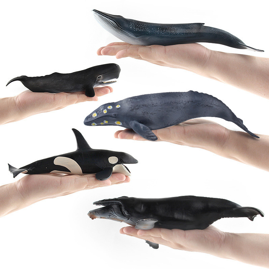 Realistic Humpback Whale Sperm - Kids No Education recension och pris