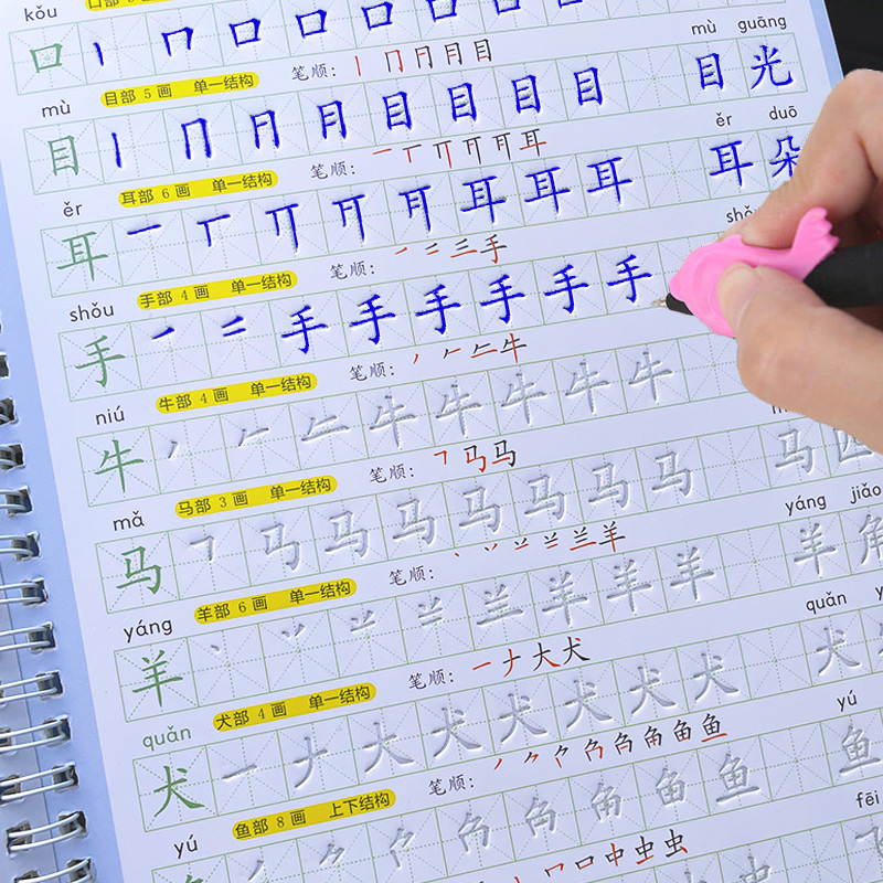 The Copybook Kids Book Learnin - Kids Education And You recension och pris